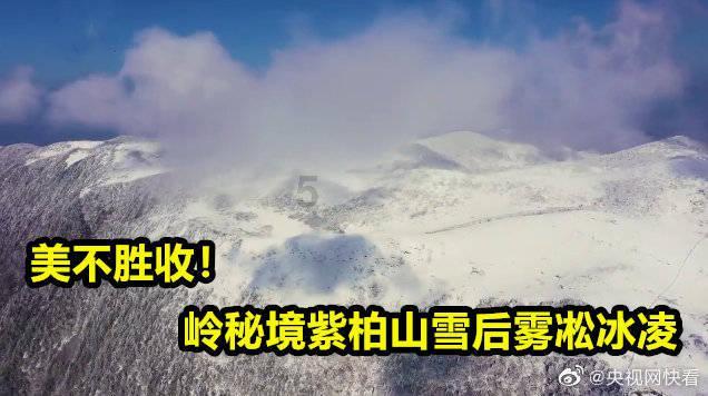 月赚200万有那么容易吗？游戏画面